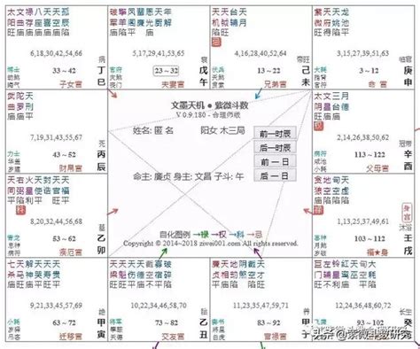 鹹池|紫微斗數中的桃花星——咸池